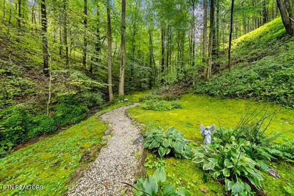 3127 Emerald Springs Loop, Sevierville, TN 37862 - view of yard with a view of trees