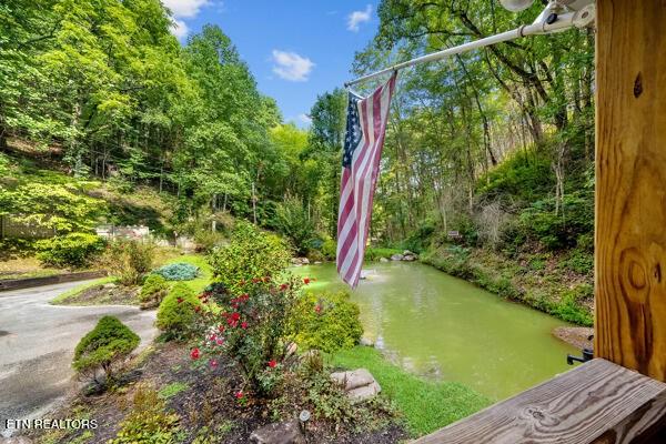 3127 Emerald Springs Loop, Sevierville, TN 37862 - view of yard
