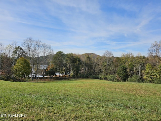 261 White Swan Dr, Vonore, TN 37885
