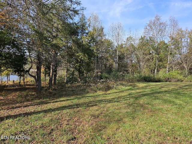 261 White Swan Dr, Vonore, TN 37885
