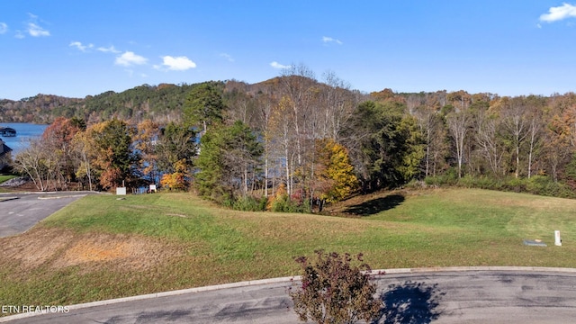 261 White Swan Dr, Vonore, TN 37885
