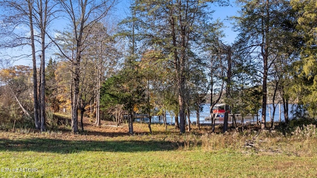 261 White Swan Dr, Vonore, TN 37885