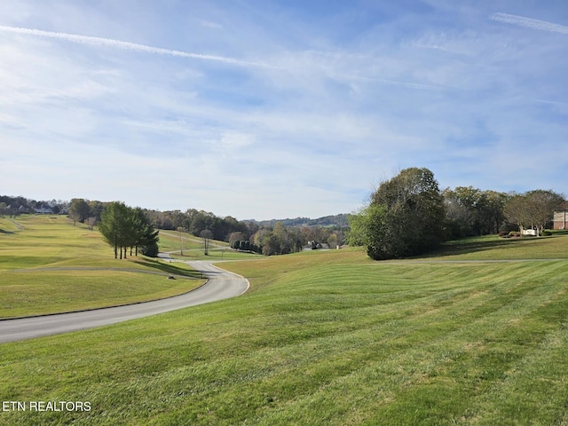 261 White Swan Dr, Vonore, TN 37885