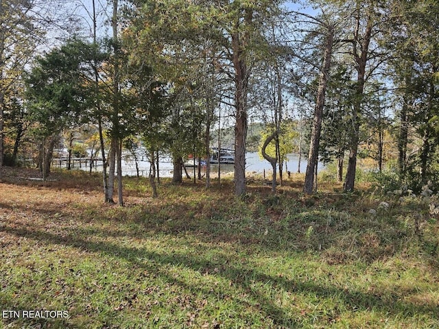 261 White Swan Dr, Vonore, TN 37885
