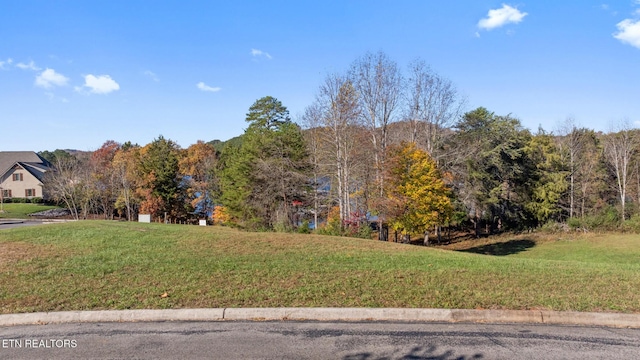 261 White Swan Dr, Vonore, TN 37885