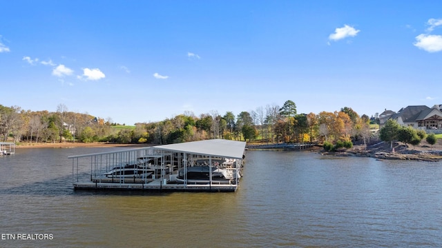 261 White Swan Dr, Vonore, TN 37885