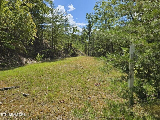 9 Village Cir, Sevierville, TN 37862 - photo 4