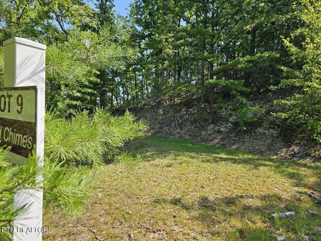 9 Village Cir, Sevierville, TN 37862 - photo 6