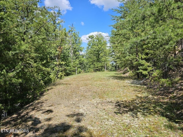 9 Village Cir, Sevierville, TN 37862 - photo 2