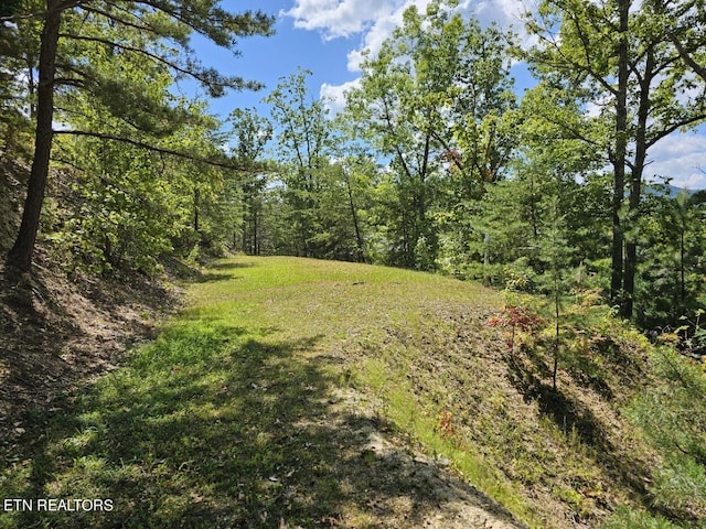9 Village Cir, Sevierville, TN 37862 - photo 1