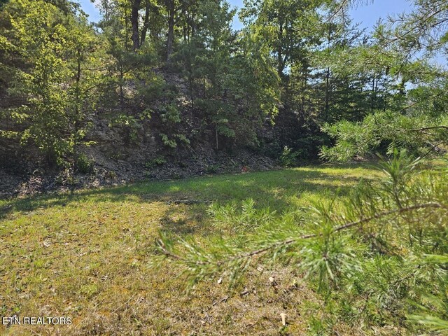 9 Village Cir, Sevierville, TN 37862 - photo 5