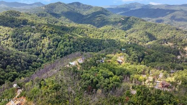 12 Village Cir, Sevierville, TN 37862 - photo 4