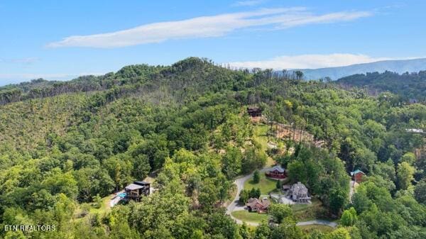 12 Village Cir, Sevierville, TN 37862 - photo 15