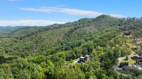 12 Village Cir, Sevierville, TN 37862 - photo 18