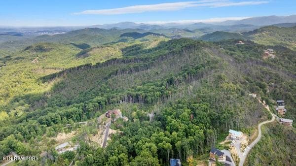 12 Village Cir, Sevierville, TN 37862 - photo 8