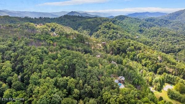 12 Village Cir, Sevierville, TN 37862 - photo 6