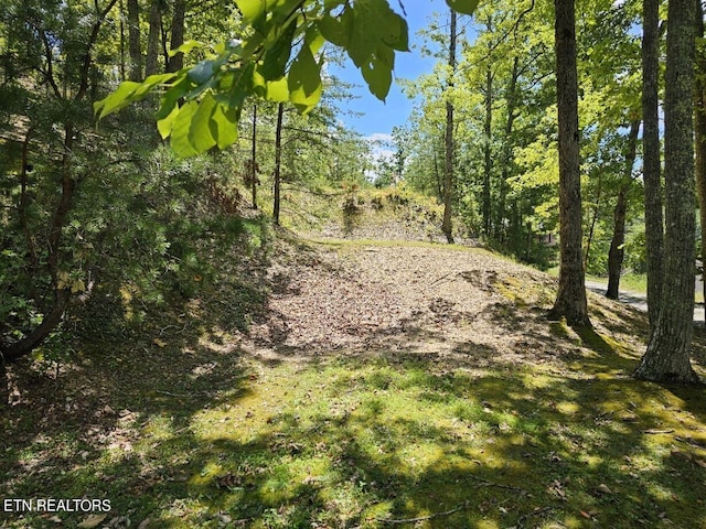 7 Village Cir, Sevierville, TN 37862 - photo 3