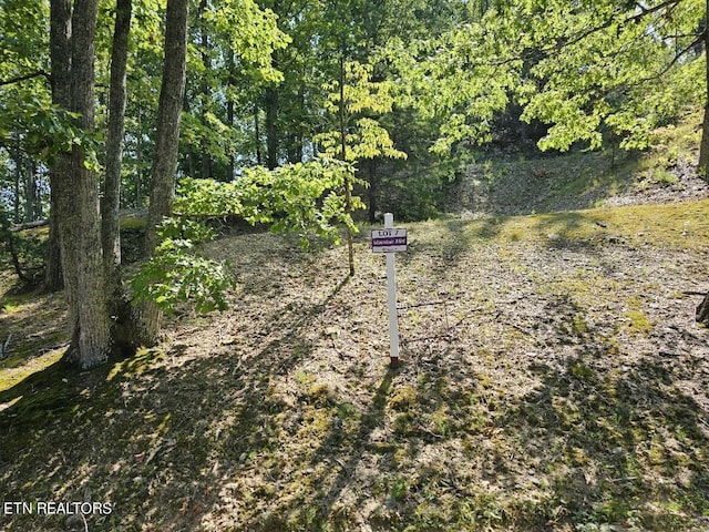 7 Village Cir, Sevierville, TN 37862 - photo 5