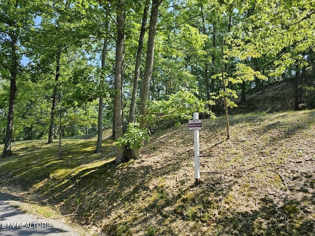 7 Village Cir, Sevierville, TN 37862 - photo 6