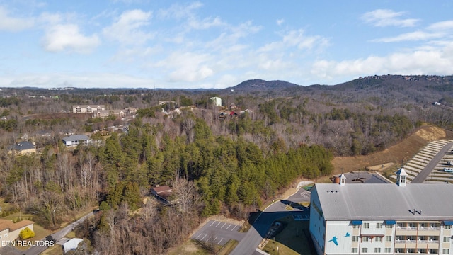 820 Old Gate Rd, Pigeon Forge, TN 37863