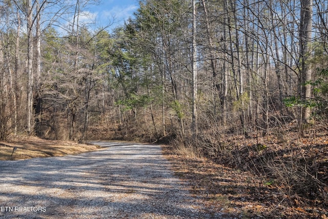 820 Old Gate Rd, Pigeon Forge, TN 37863