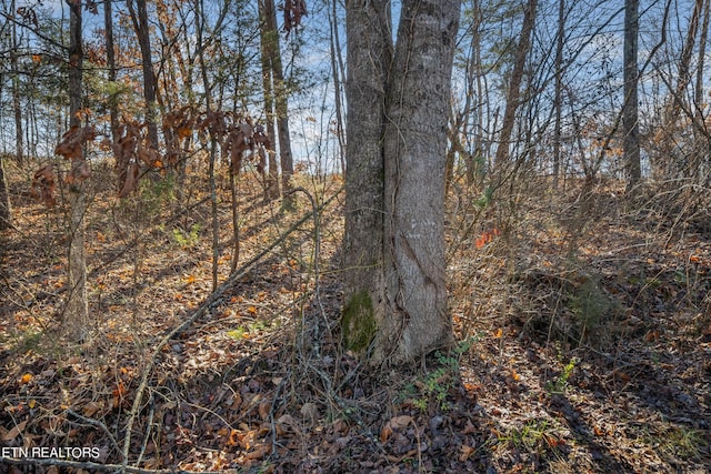 820 Old Gate Rd, Pigeon Forge, TN 37863