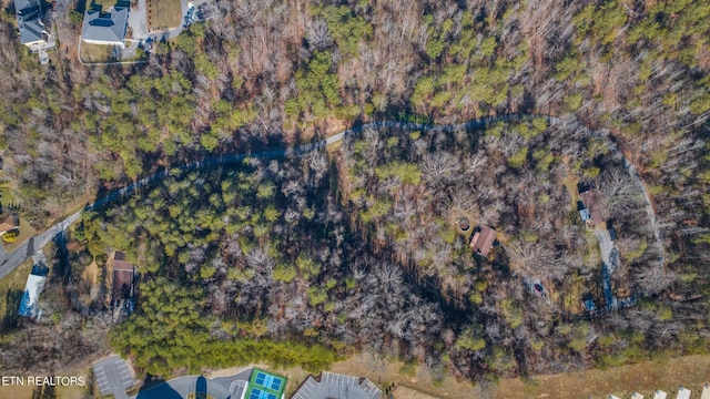 820 Old Gate Rd, Pigeon Forge, TN 37863