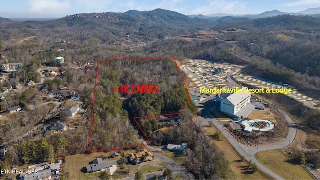 820 Old Gate Rd, Pigeon Forge, TN 37863