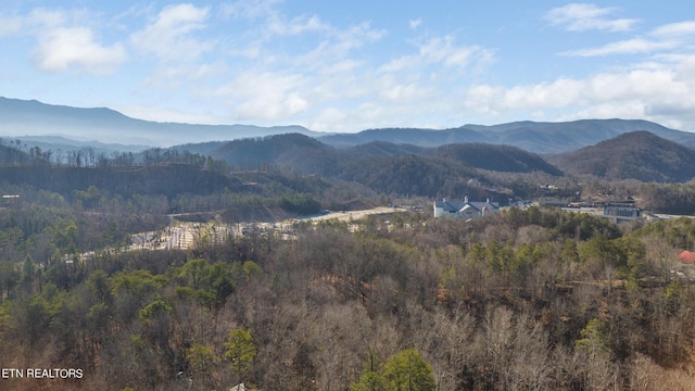 820 Old Gate Rd, Pigeon Forge, TN 37863