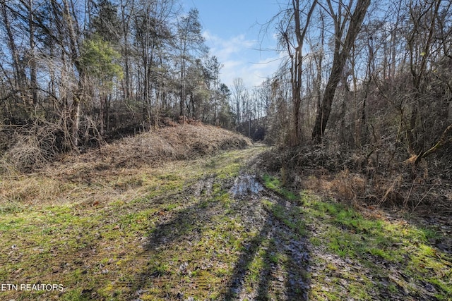 820 Old Gate Rd, Pigeon Forge, TN 37863