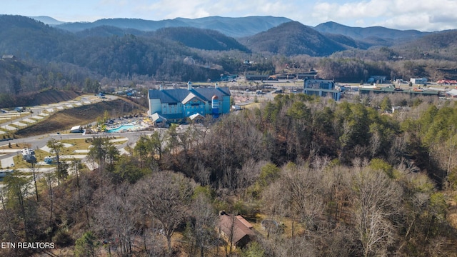 820 Old Gate Rd, Pigeon Forge, TN 37863