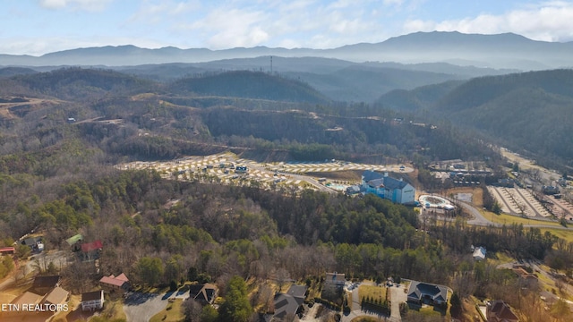 820 Old Gate Rd, Pigeon Forge, TN 37863