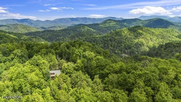 4196 Mountain Rest Way, Sevierville, TN 37876 - view of mountain backdrop with a forest