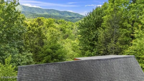 4196 Mountain Rest Way, Sevierville, TN 37876 - view of mountain background with a forest