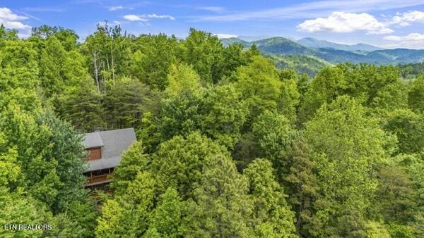 4196 Mountain Rest Way, Sevierville, TN 37876 - view of subject property with a forest