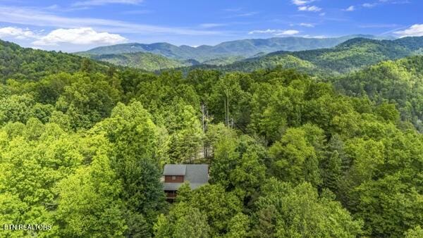 4196 Mountain Rest Way, Sevierville, TN 37876 - view of mountain backdrop with a heavily wooded area