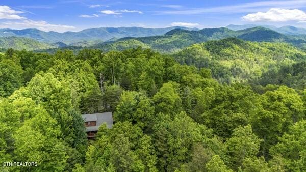 4196 Mountain Rest Way, Sevierville, TN 37876 - view of mountain backdrop featuring a forest