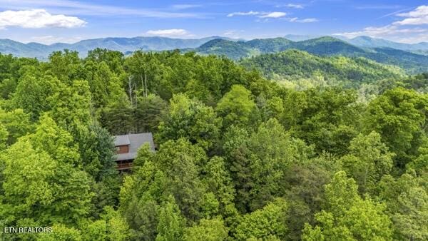 4196 Mountain Rest Way, Sevierville, TN 37876 - view from above of property with a heavily wooded area and a mountain backdrop