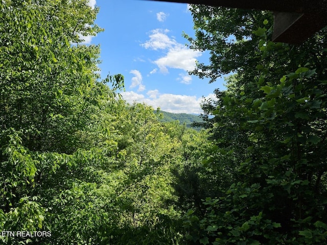 4196 Mountain Rest Way, Sevierville, TN 37876 - view of tree filled area
