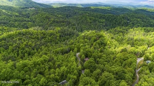 4196 Mountain Rest Way, Sevierville, TN 37876 - drone / aerial view of a heavily wooded area and a mountainous background