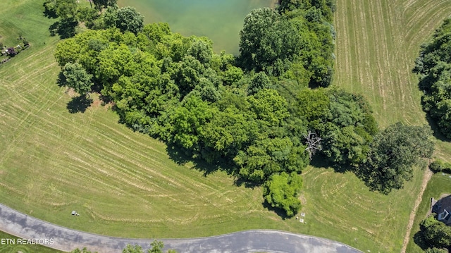 370 Cormorant Dr, Vonore, TN 37885 - photo 2