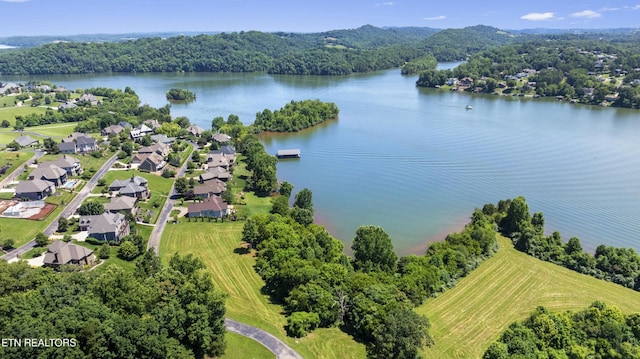 370 Cormorant Dr, Vonore, TN 37885 - photo 6