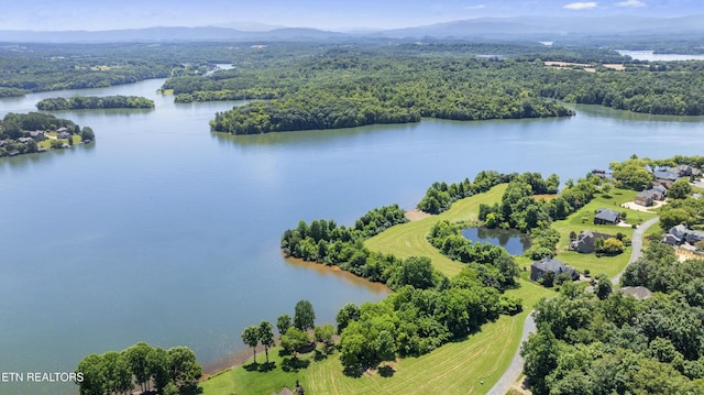 370 Cormorant Dr, Vonore, TN 37885 - photo 13