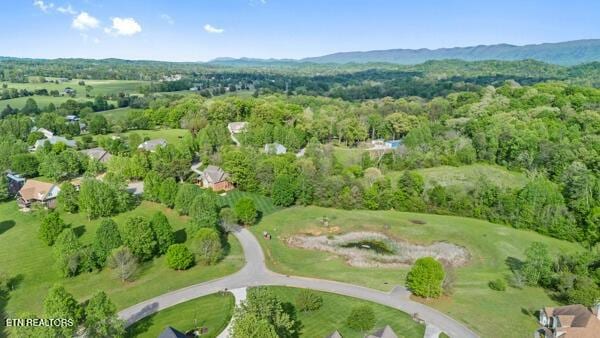 2419 Robin Ridge Dr, Maryville, TN 37801 - photo 49