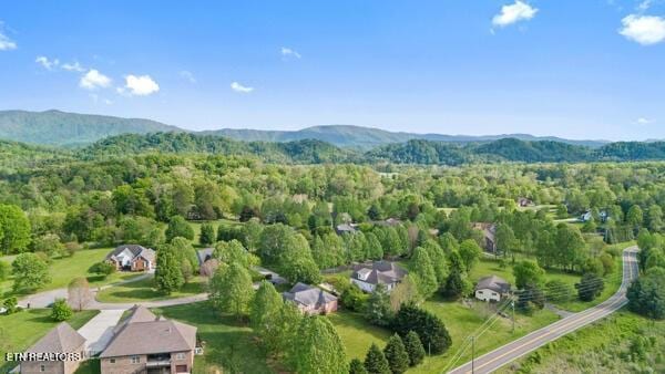 2419 Robin Ridge Dr, Maryville, TN 37801 - photo 48