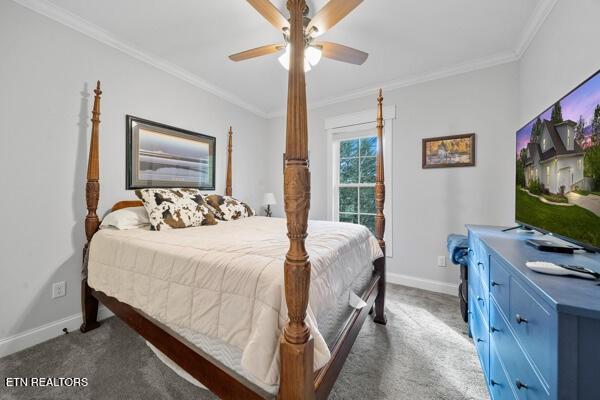 2419 Robin Ridge Dr, Maryville, TN 37801 - photo 31