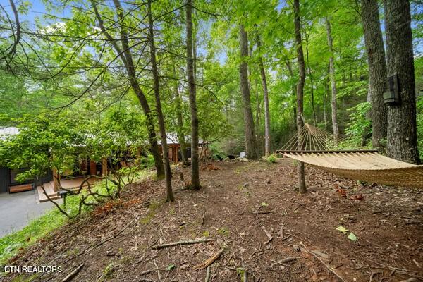 515 Johnson Ln, Gatlinburg, TN 37738 - photo 5