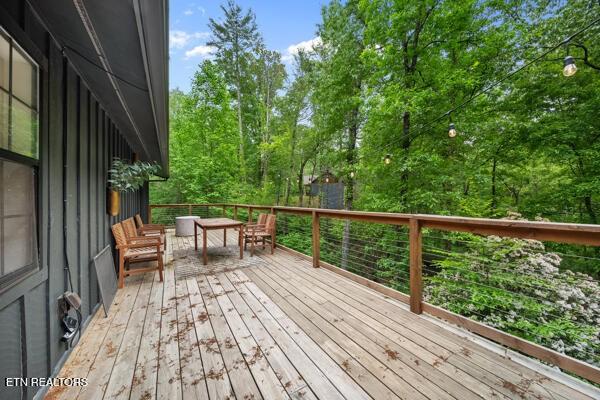 515 Johnson Ln, Gatlinburg, TN 37738 - photo 32