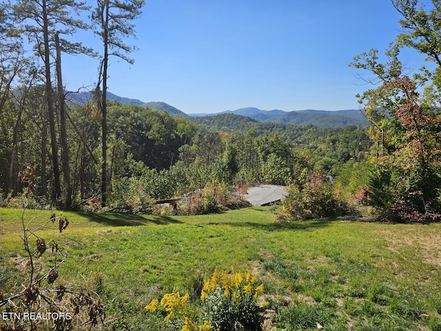 2211 Ridgeland Cir, Sevierville, TN 37862