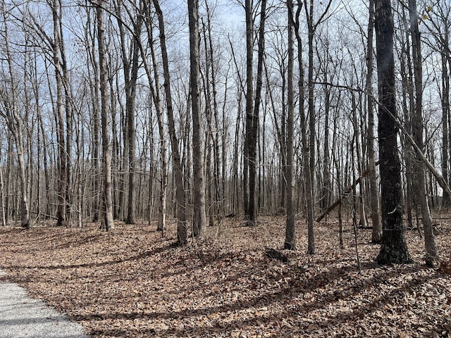 4441 Deer Run Rd, Altamont, TN 37301